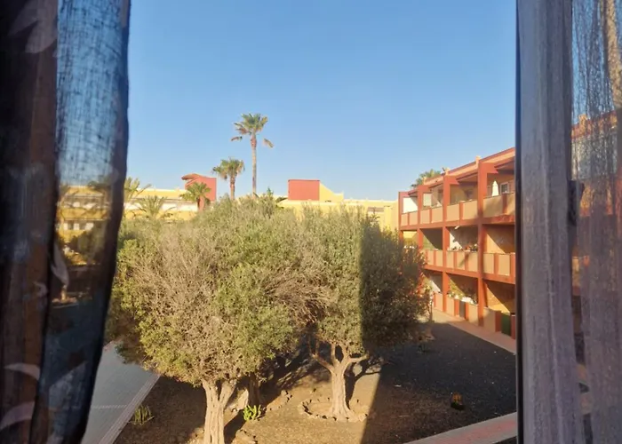 Marveo Daire La Oliva