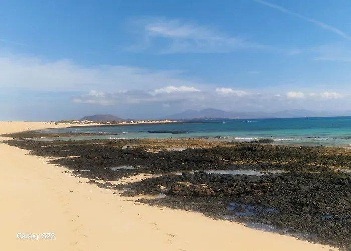 Marveo * لا أوليفا