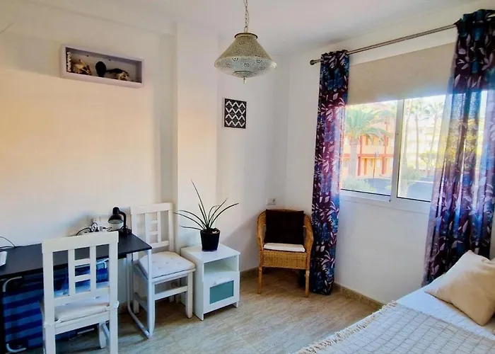 Marveo Daire La Oliva